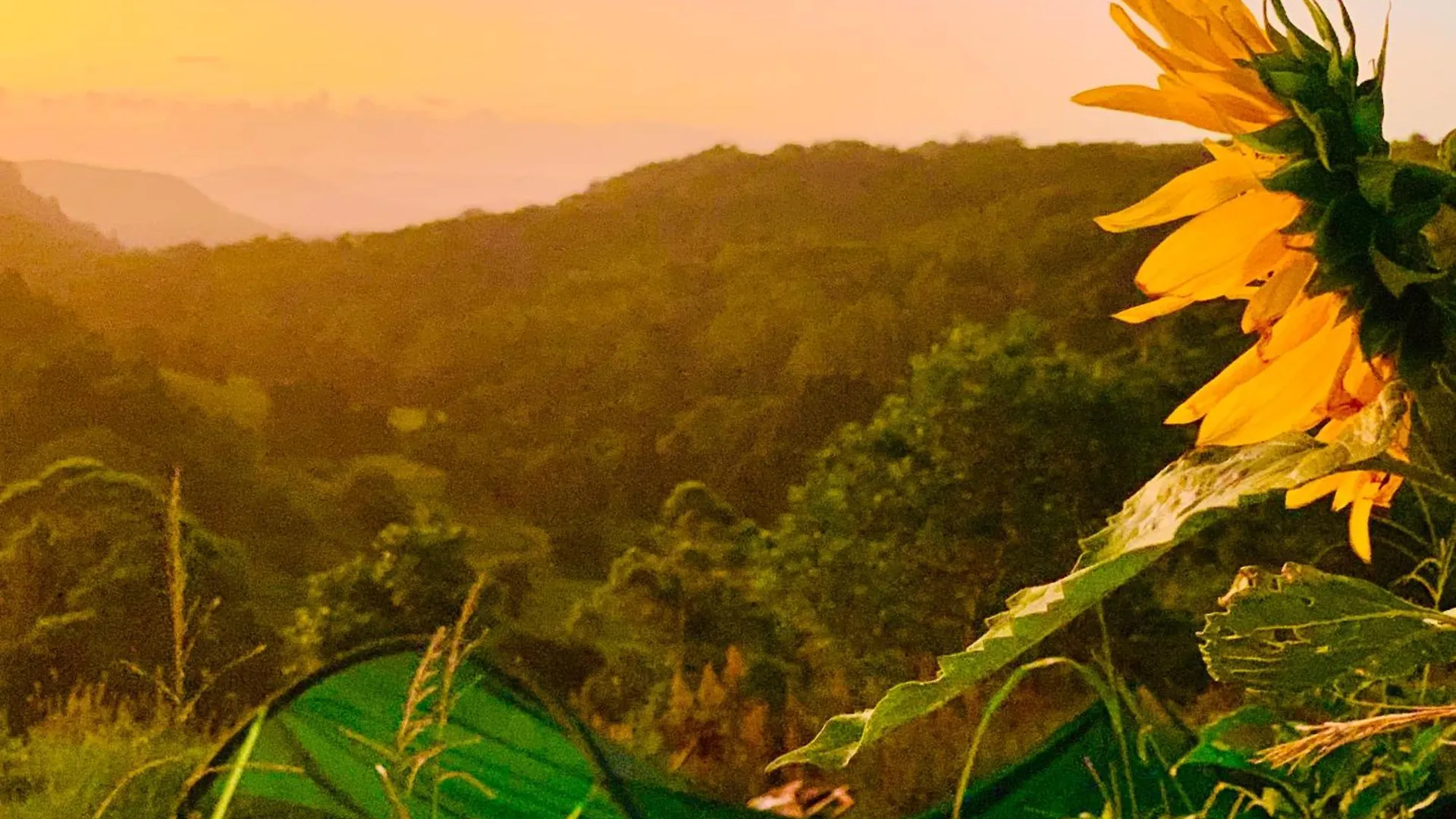 Tiny House Spectacular Eco Retreat & Cosy Villa Maleny Holiday home