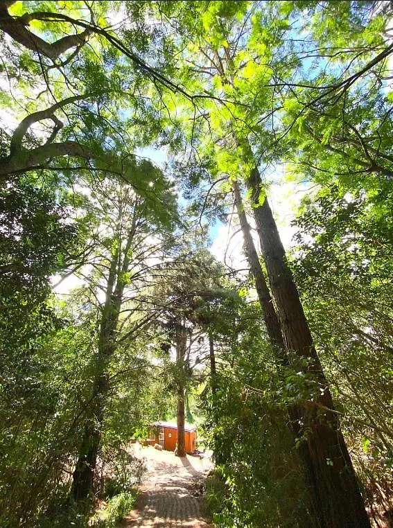 Tiny House Spectacular Eco Retreat & Cosy Villa Maleny